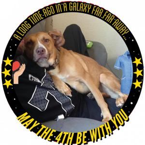 Meet your Posher, Bryan